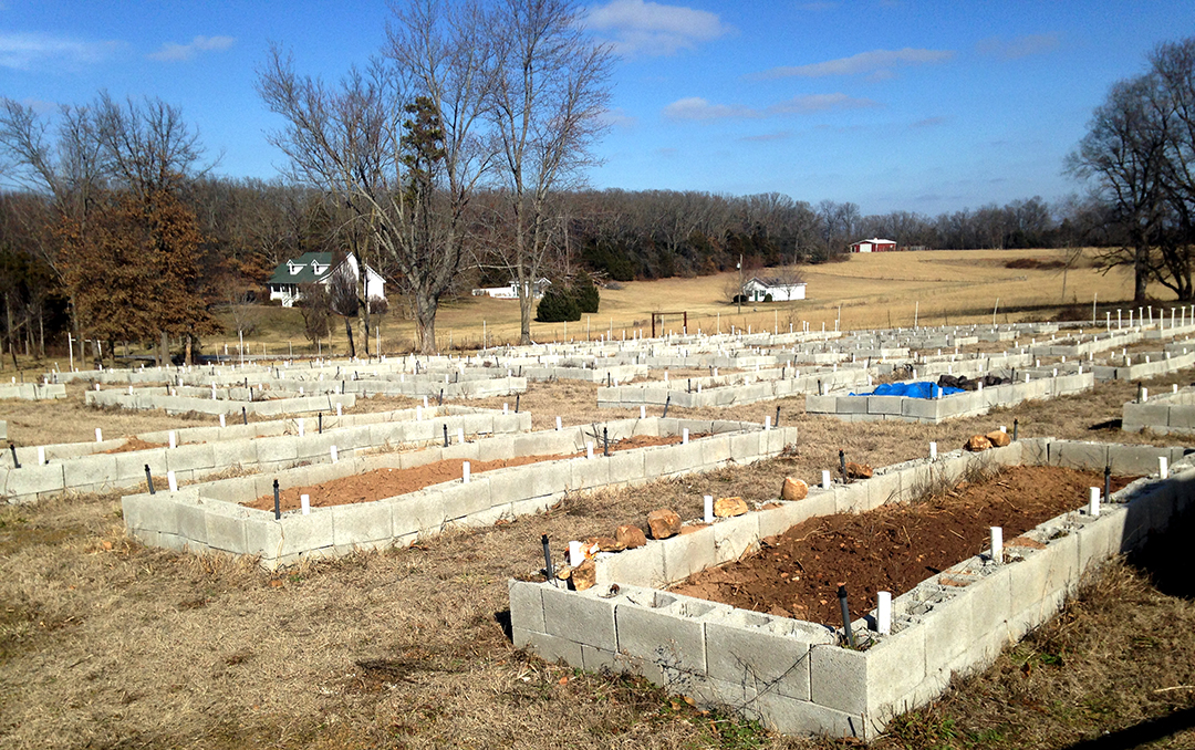 Ozarks Natural Foods donates use of land to newly relaunched Full Circle Gardens