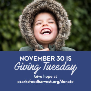 Giving Tuesday is <i>2nd harvest food bank jobs</i> 30